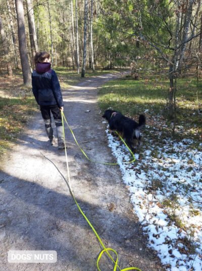 Habituacja zwana socjalizacją