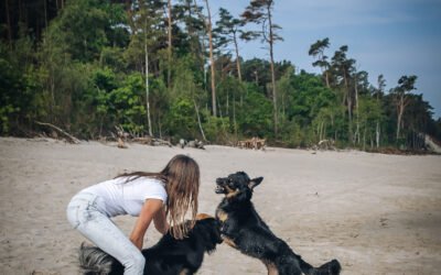 Agresja u psów – Jak zrozumieć problem i skutecznie sobie z nim poradzić?