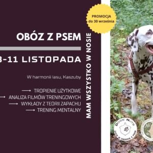 4-dniowy jesienny obóz MAM WSZYSTKO W NOSIE tropienie użytkowe (mantrailing) + wykłady teoretyczne + trening mentalny (8-11 listopada)