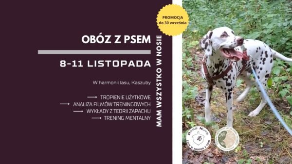4-dniowy jesienny obóz MAM WSZYSTKO W NOSIE tropienie użytkowe (mantrailing) + wykłady teoretyczne + trening mentalny (8-11 listopada)