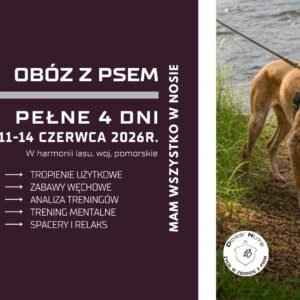 Czerwcowy obóz MAM WSZYSTKO W NOSIE - mantrailing, zabawy węchowe, analiza śladów i mental