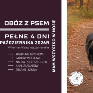 Październikowy obóz MAM WSZYSTKO W NOSIE - mantrailing, zabawy węchowe, psie sztuczki oraz analiza treningów